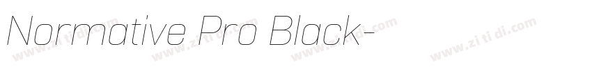 Normative Pro Black字体转换
